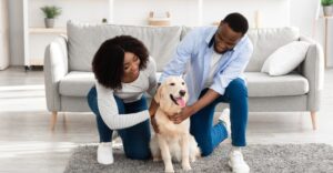 How to Become an Animal Shelter Volunteer: A Step-by-Step Guide
