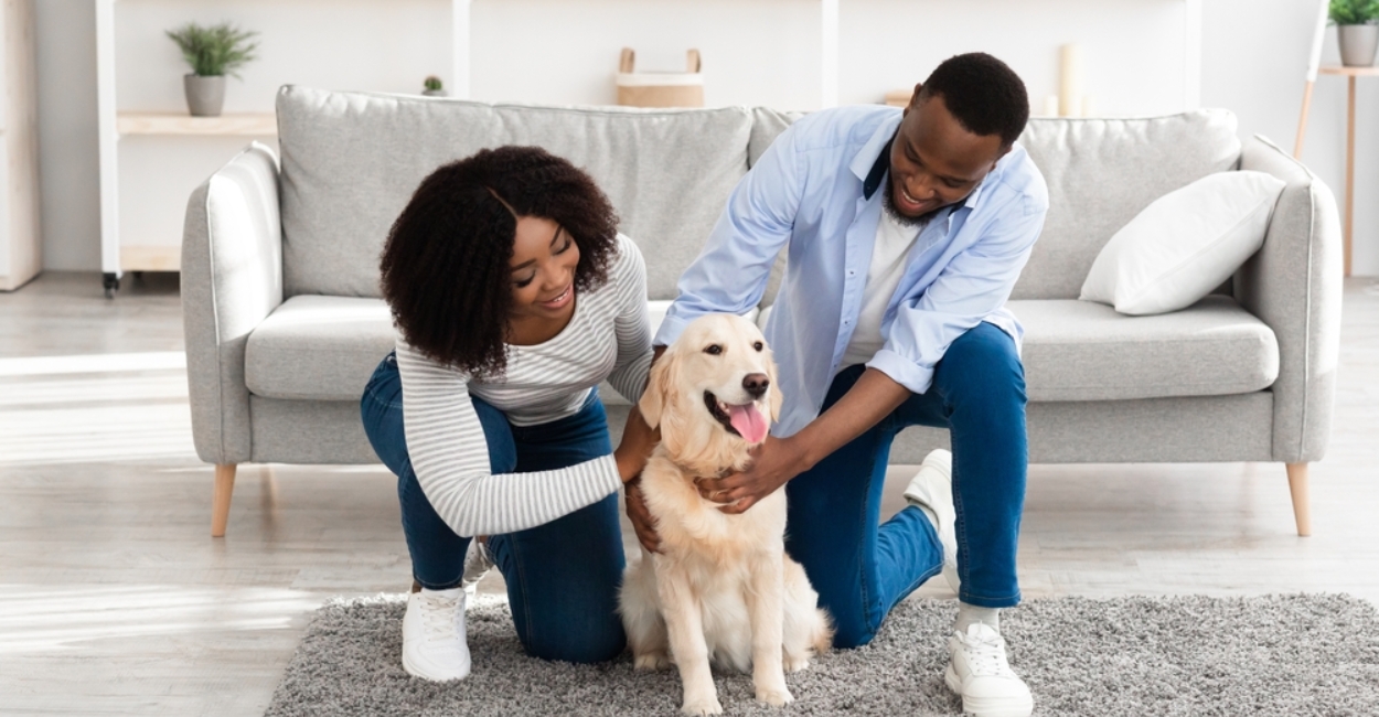 How to Become an Animal Shelter Volunteer: A Step-by-Step Guide