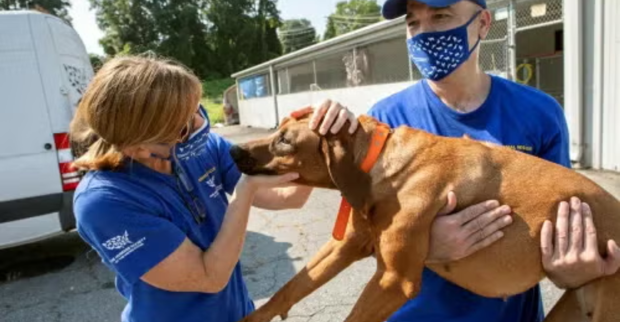 Humane Society