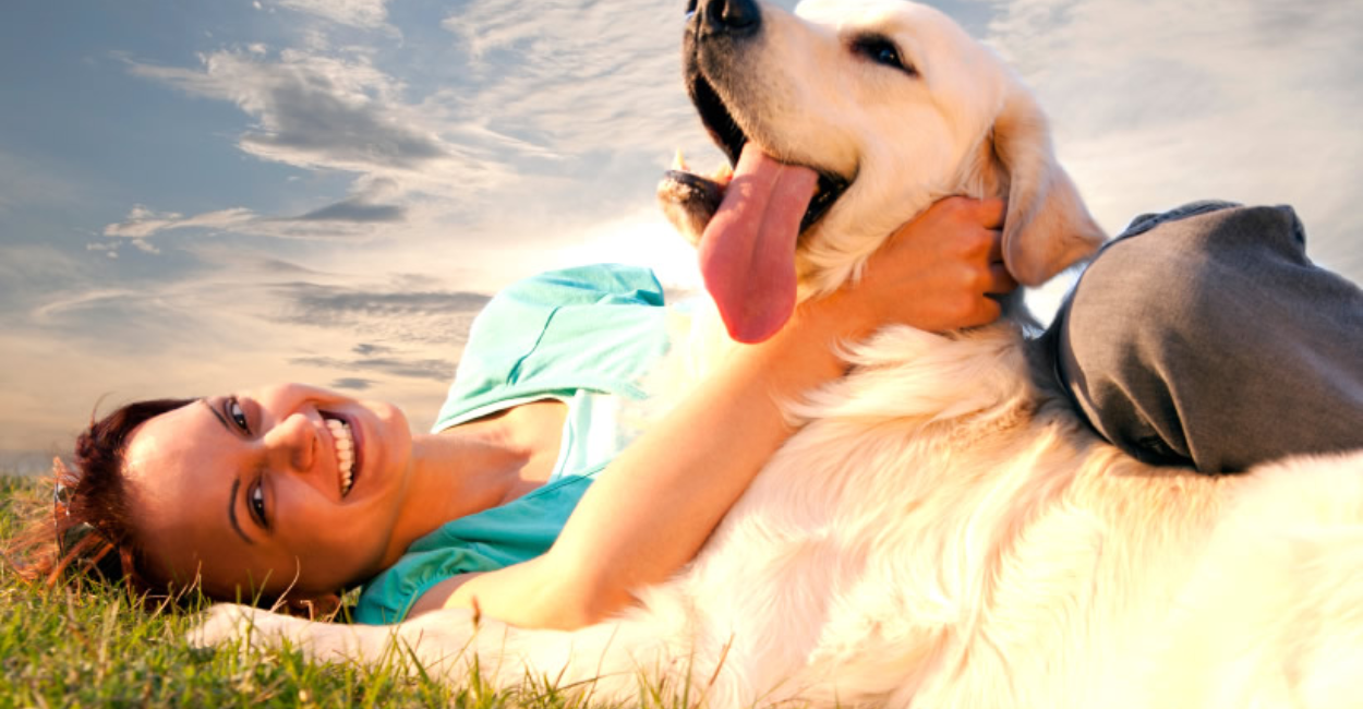Animal Care