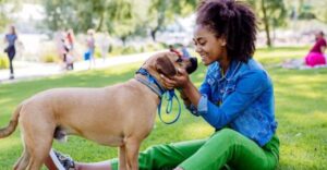 The Impact of Animal Shelter Volunteers on Pet Adoption Rates