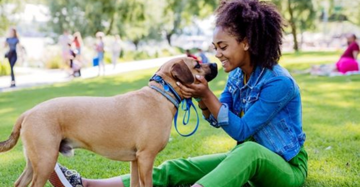 7 Incredible Ways Animal Shelter Volunteers Impact Pet Adoption Rates