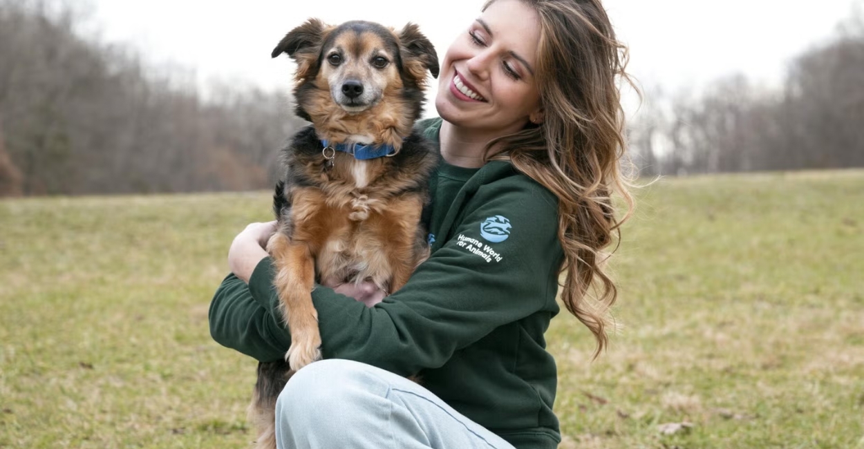 how to prepare a rescued animal for release back into the wild