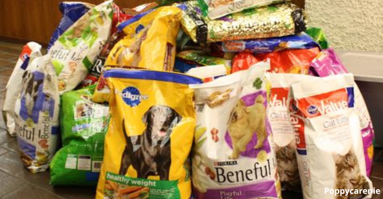 Donate to Pet Rescue: Small Actions, Big Impact
