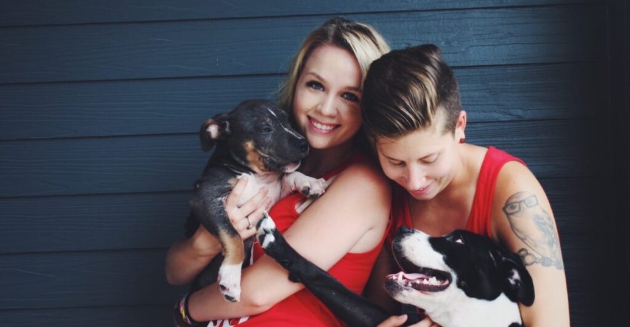 Fostering a Pet vs. Adopting a Pet