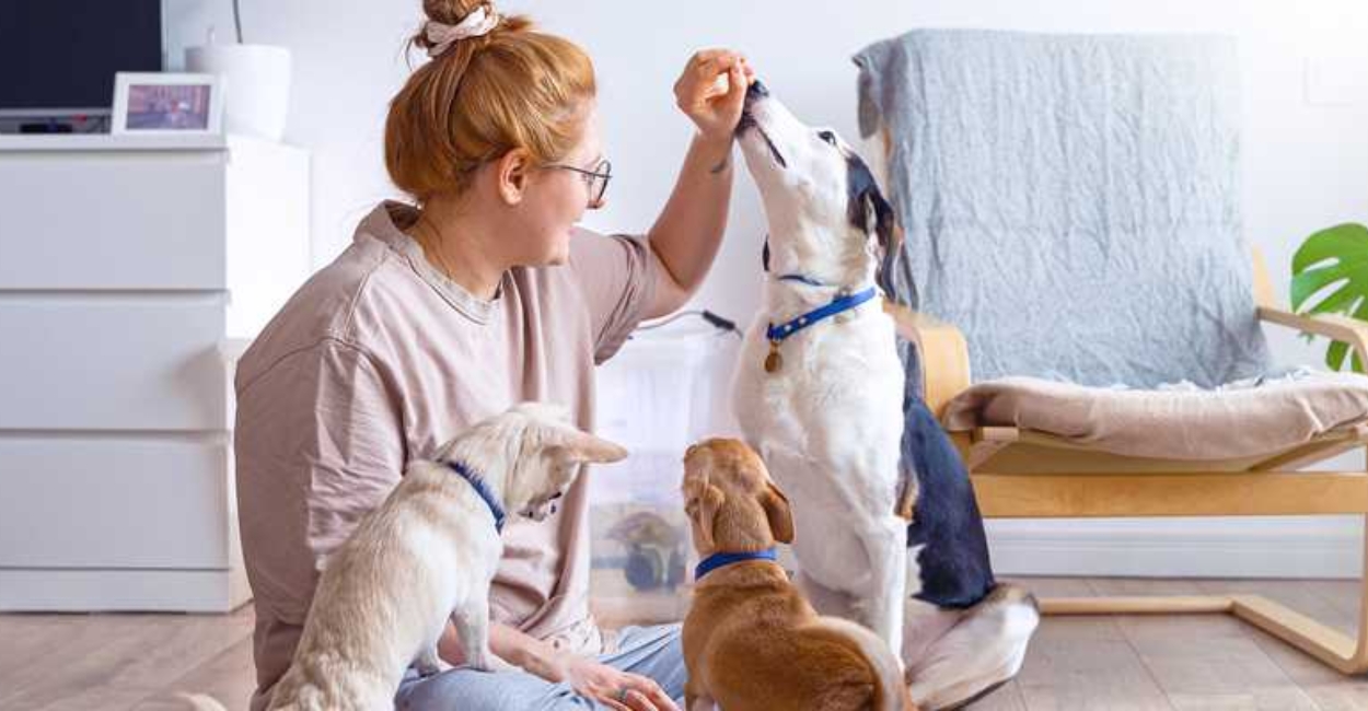 7 Incredible Benefits of Volunteering at an Animal Shelter