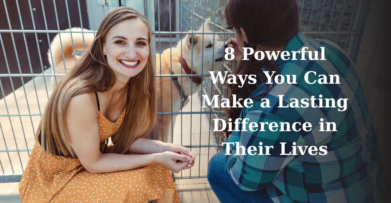 Stray Animals: 8 Powerful Ways You Can Make a Lasting Difference in Their Lives – A Guide to Action