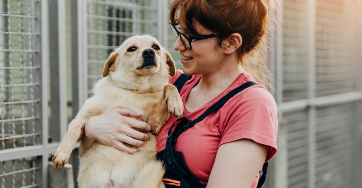 7 Powerful Reasons Why Becoming an Animal Shelter Volunteer is a Life-Changing Experience