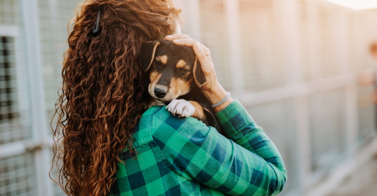 Fostering a Pet