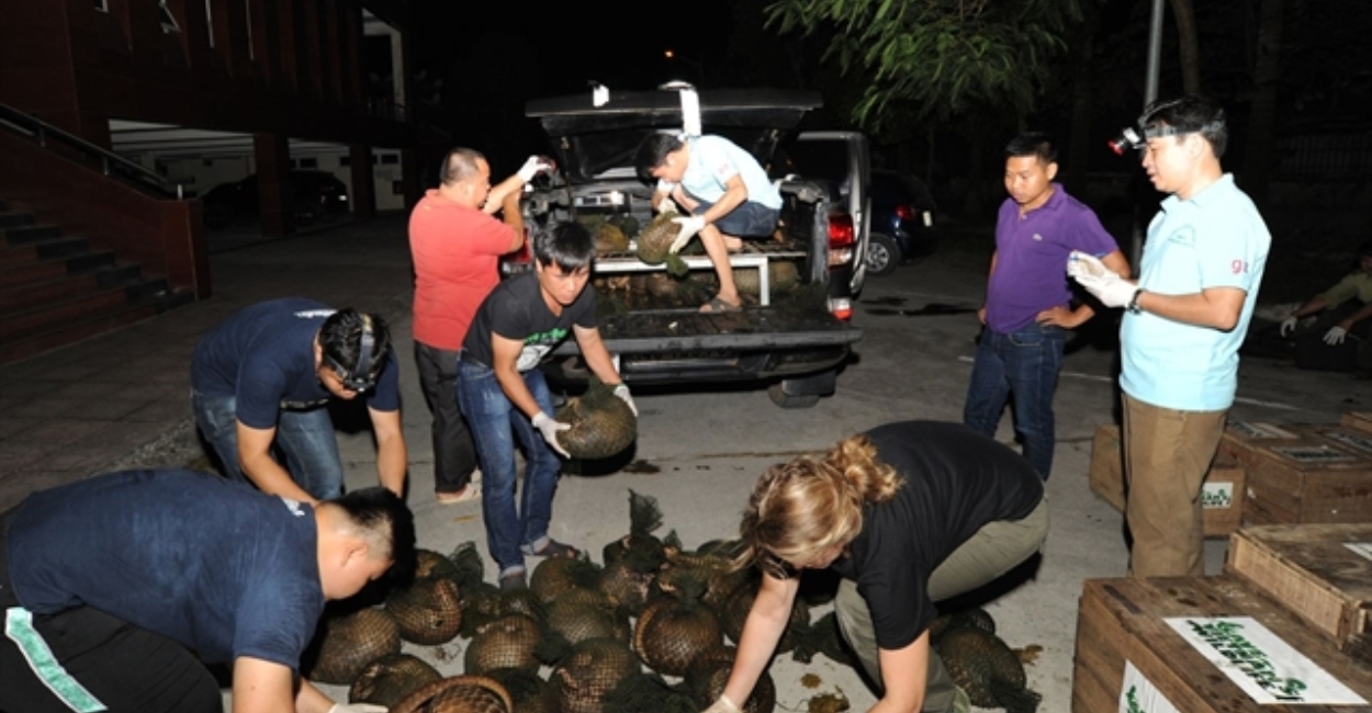 The Role of Animal Rehabilitation Centers in Saving Lives A Critical Lifeline