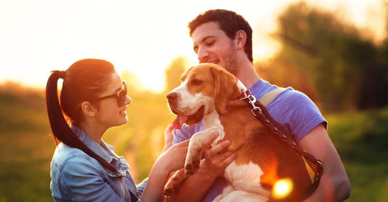 The Importance of Rehabilitation for Rescued Animals: Giving Them a Second Chance