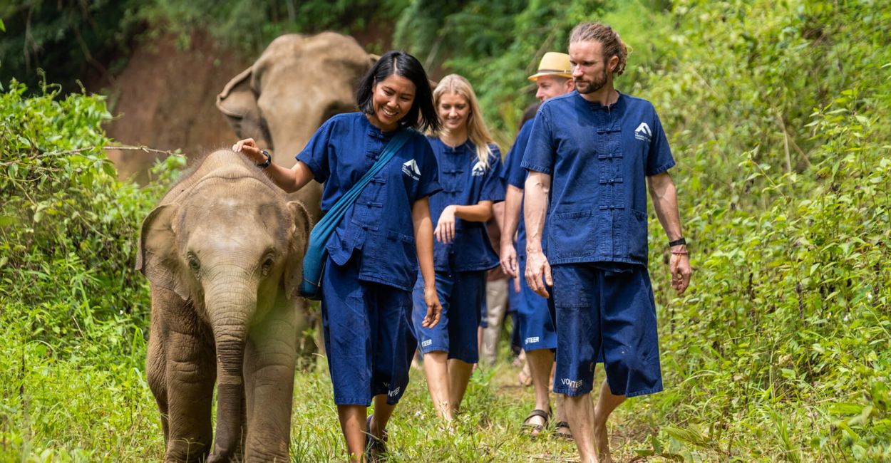 Volunteer Opportunities in Animal Rehabilitation Programs